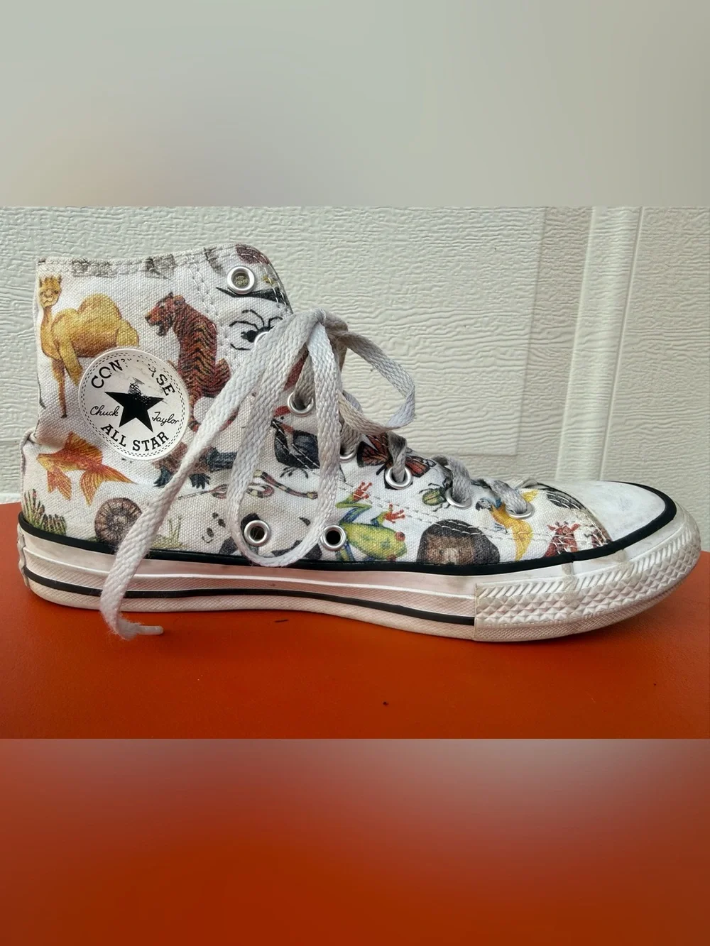 Converse Junior Chuck Taylor All Star Hi sneakers Science Class / Zoo Animals 5